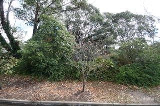 15 Gorelon Dr, Flagstaff Hill, SA 5159