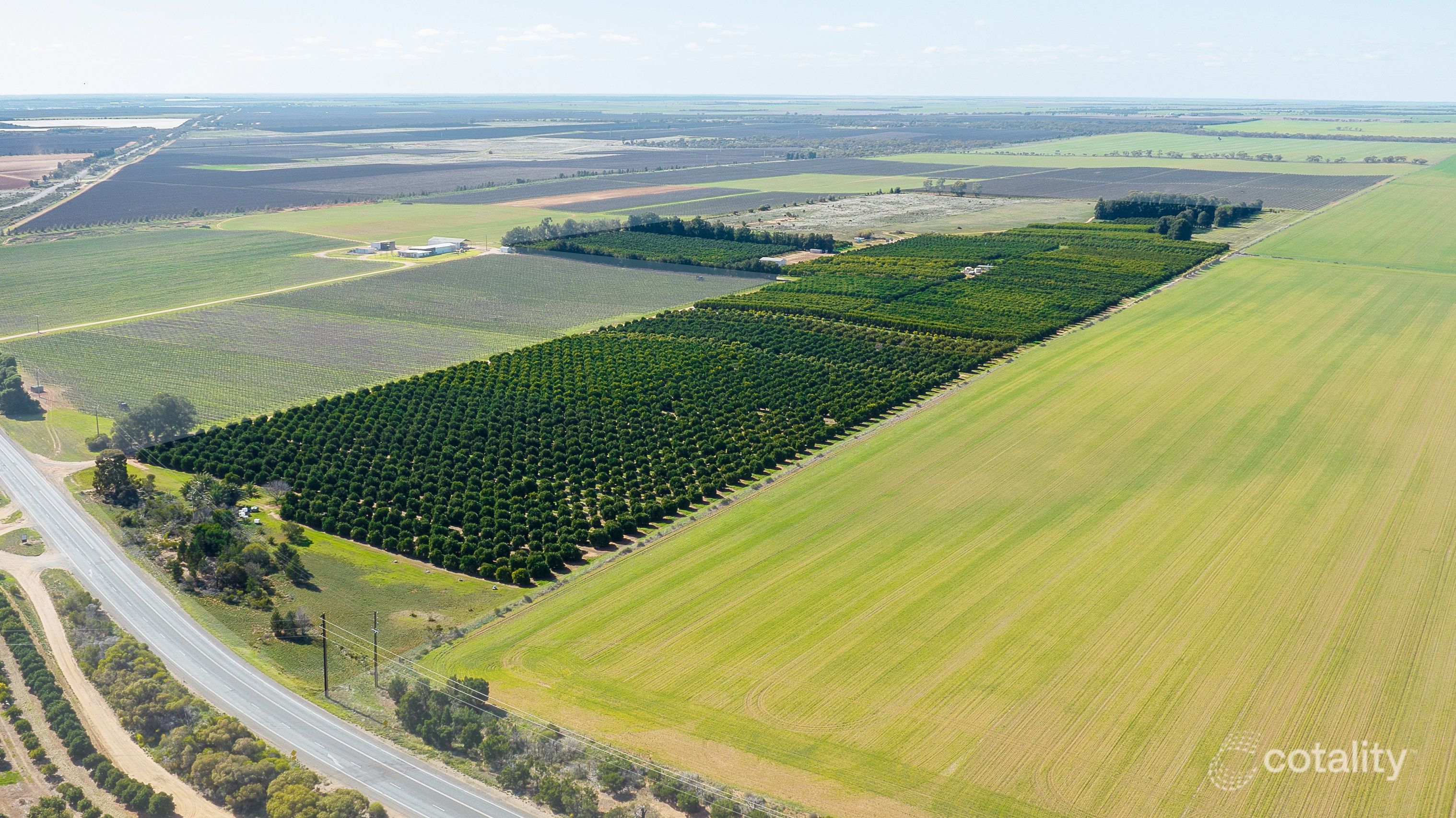 1167 Bookpurnong Rd, Bookpurnong, SA 5333