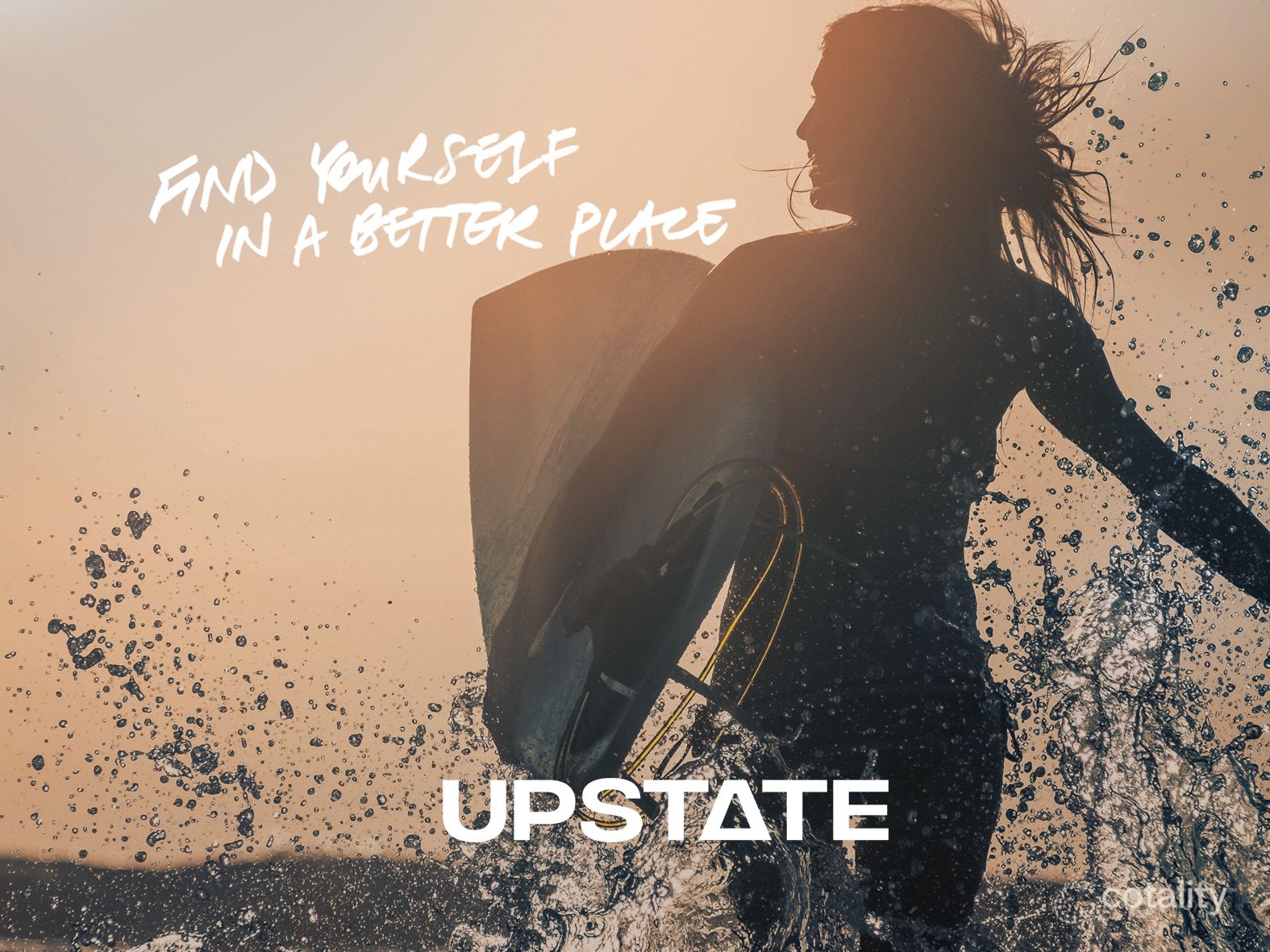 16 Crawford Pl, Beacon Hill, NSW 2100