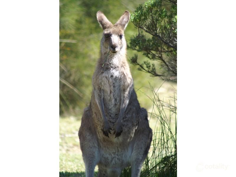 15 Rainbow Rd, Golden Beach, VIC 3851