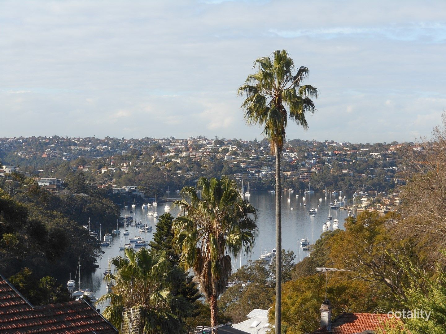 11/9 Arkland St, Cammeray, NSW 2062