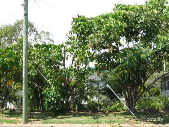 28 Harris St, Emerald, QLD 4720