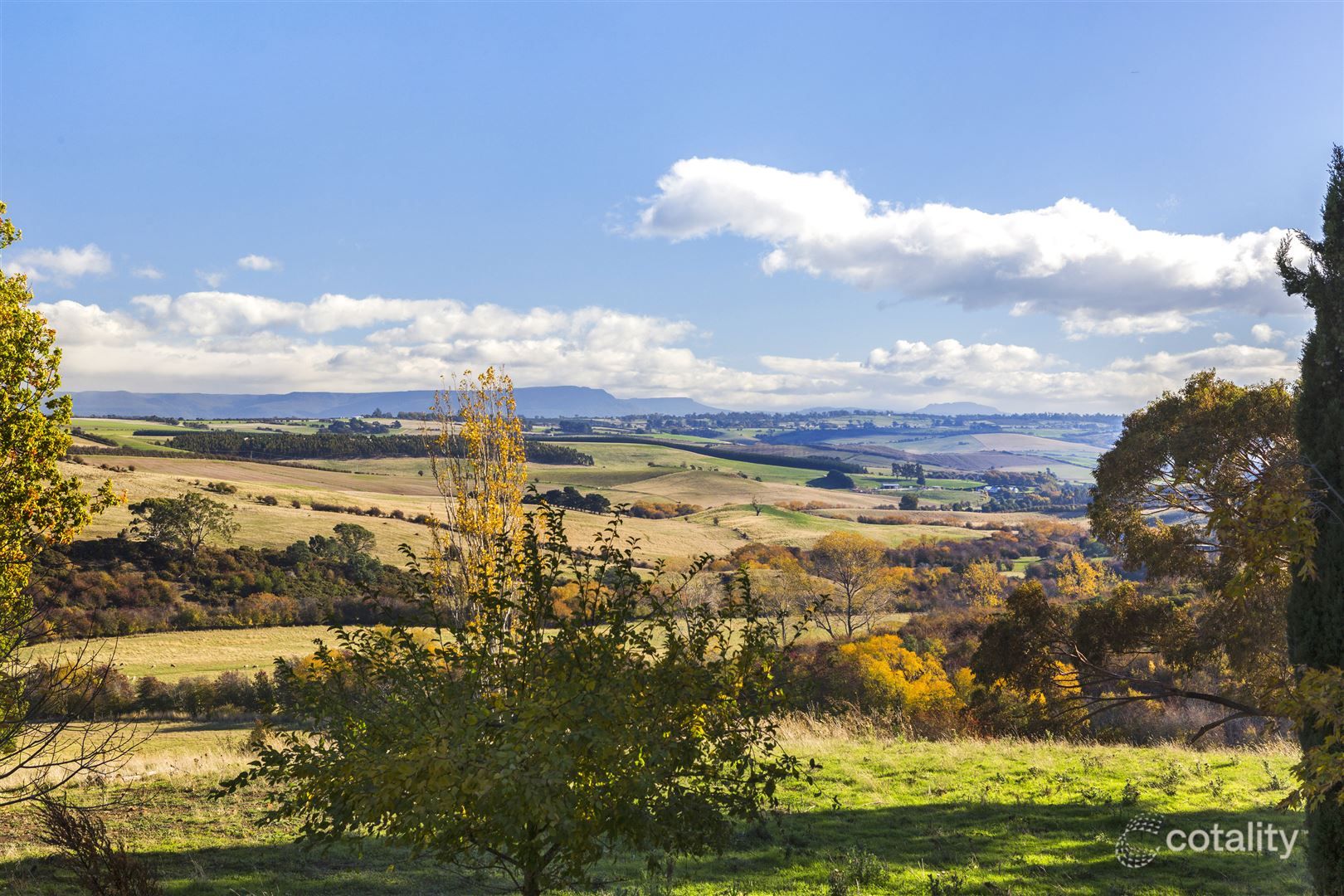 180 Waddles Rd, White Hills, TAS 7258