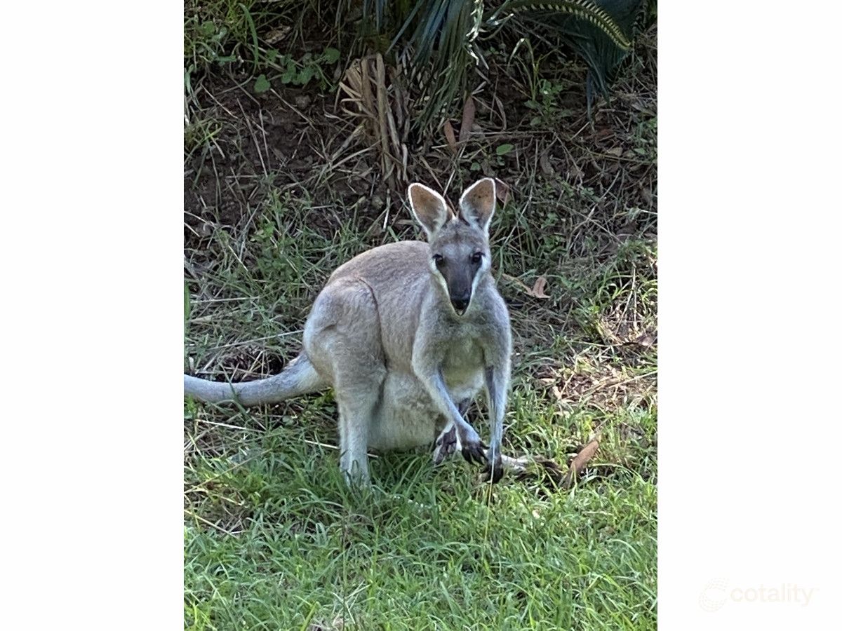 4 Davidson Rd, Cawarral, QLD 4702
