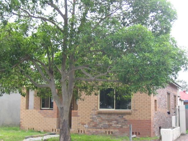 40 Nile St, Mayfield, NSW 2304