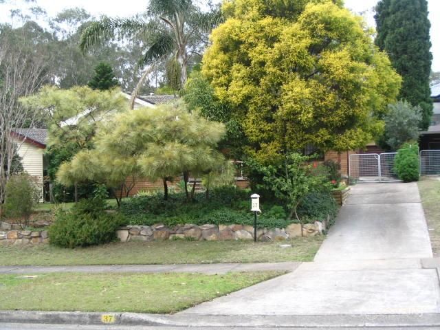 37 Lodge Ave, Old Toongabbie, NSW 2146