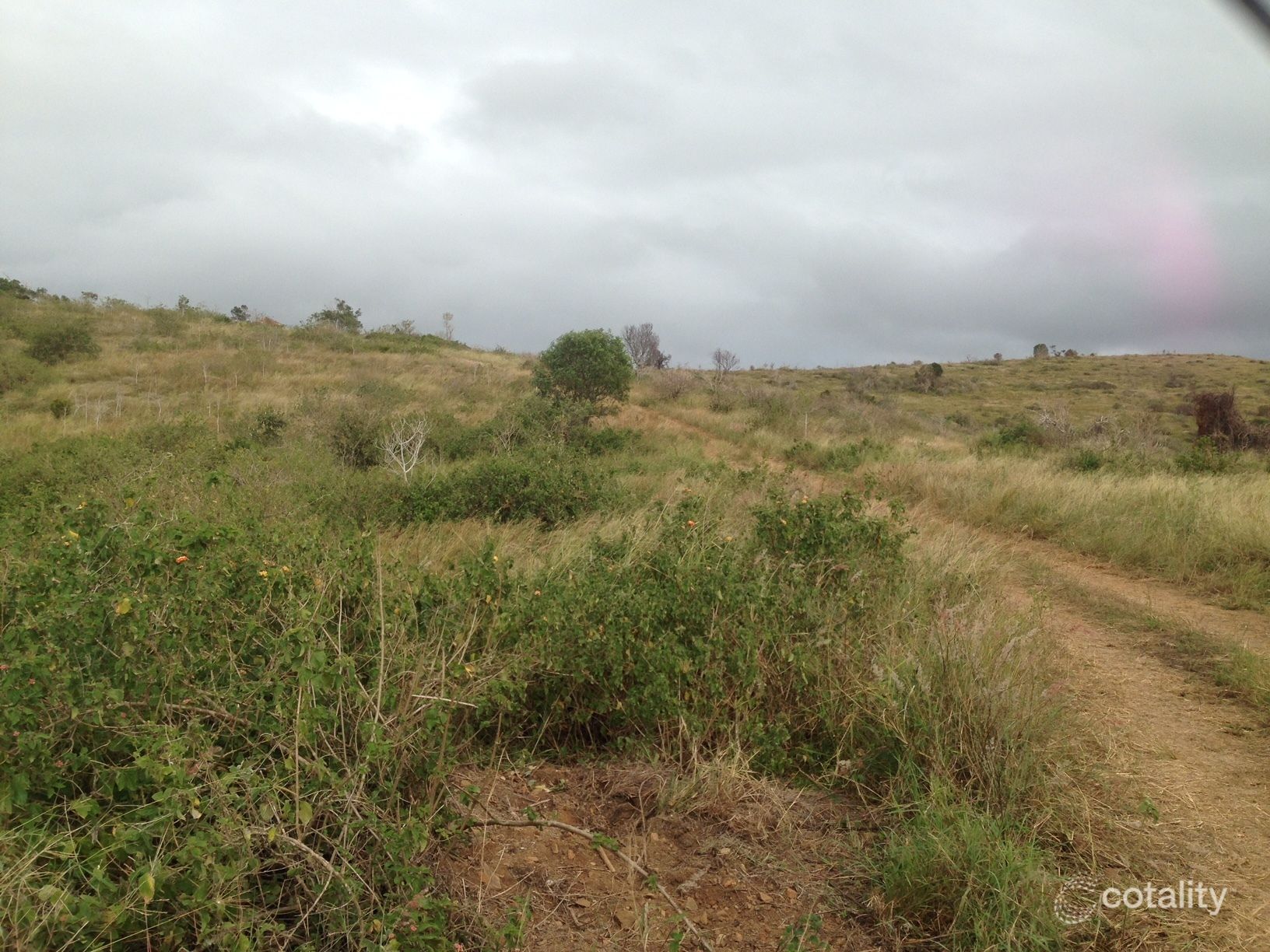 103 Boneham Rd, Bracewell, QLD 4695