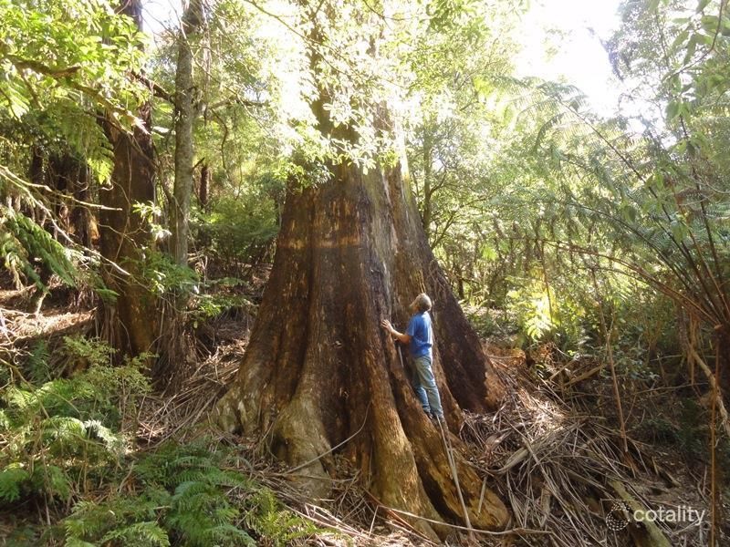 1045 Boolarra-Foster Rd, Boolarong, VIC 3960