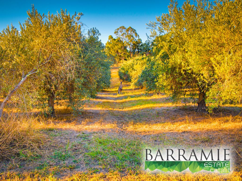 12 Mozart Ct, Springdale Heights, NSW 2641