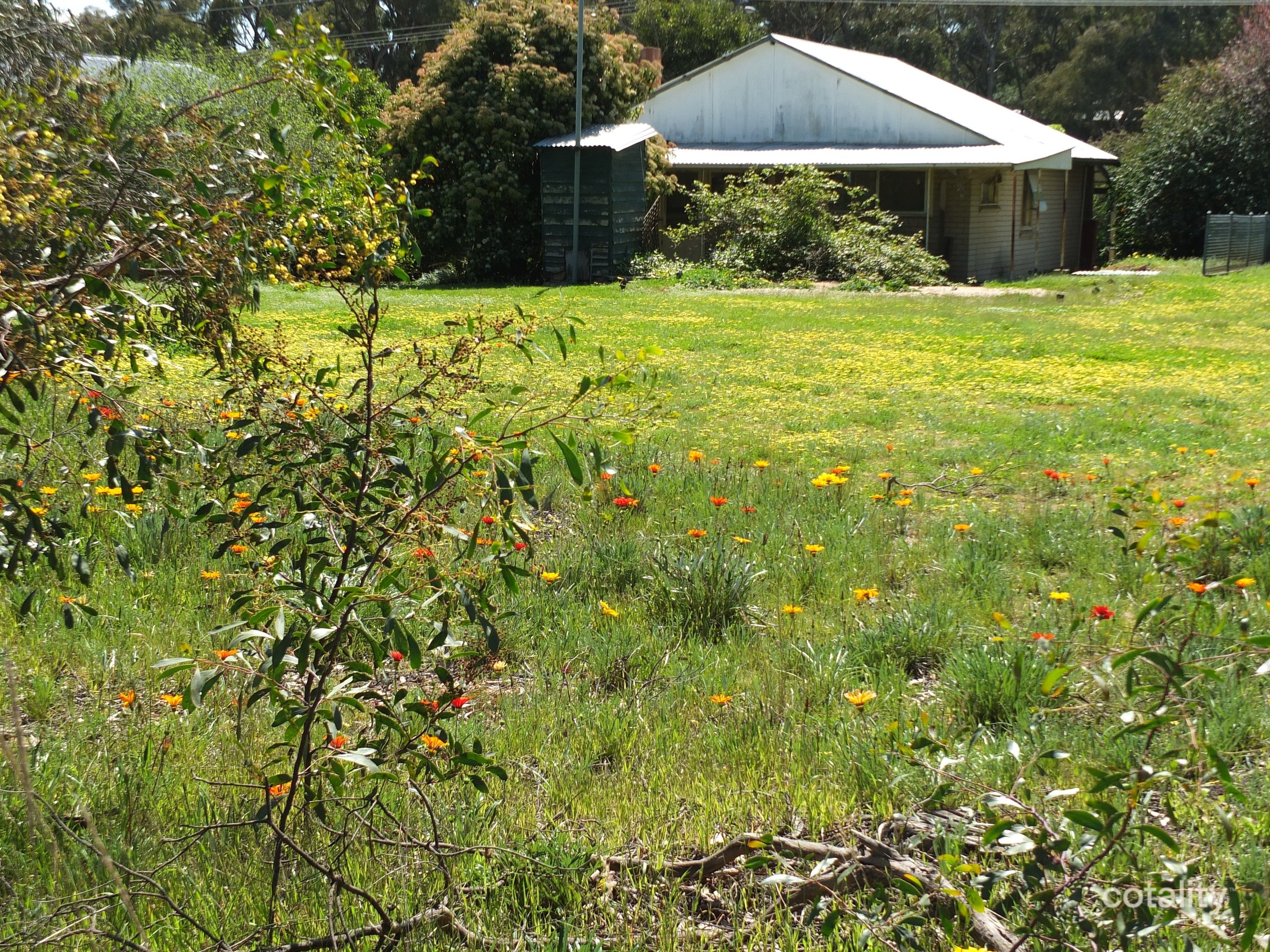 34 Bridport St, Avoca, VIC 3467