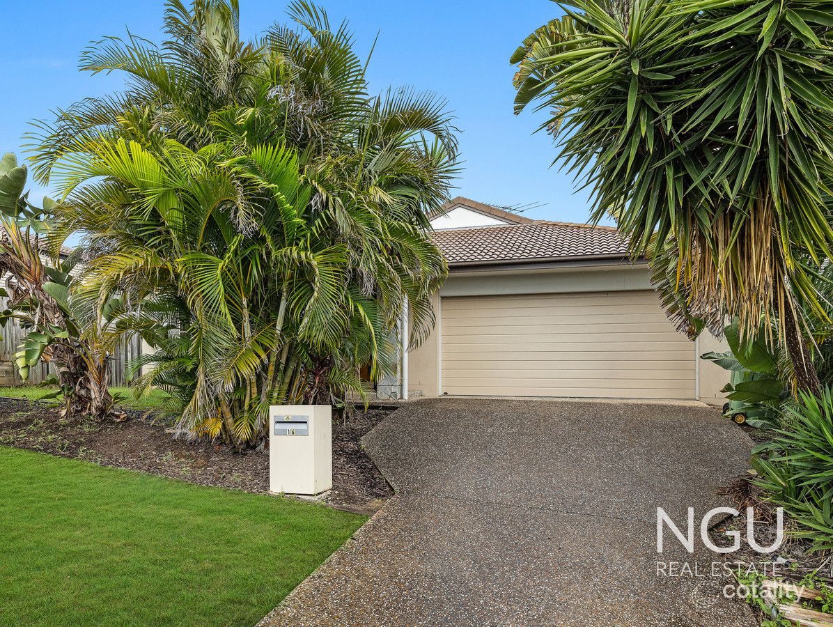 16 Dianella St, Springfield Lakes, QLD 4300