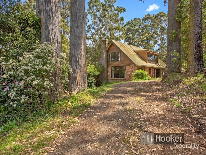 411 Pages Rd, Moorleah, TAS 7325