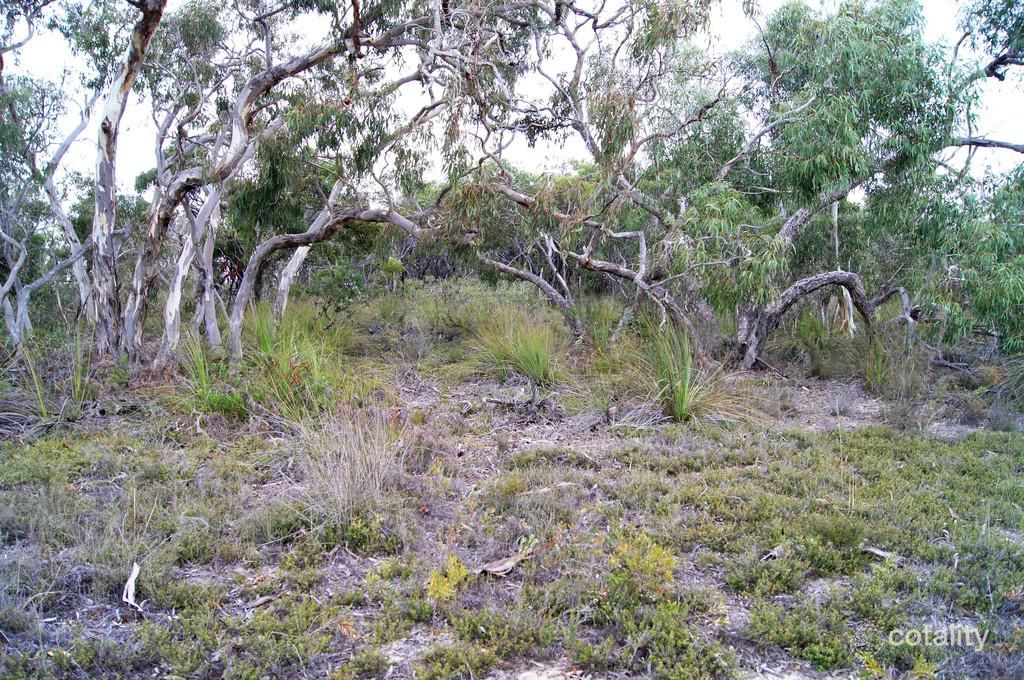 Lot 636 Thomas Rd, Avenue Range, SA 5273