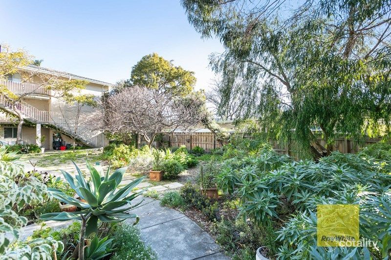 10/6 Albert St, Mosman Park, WA 6012