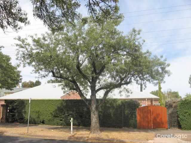 55 Tusmore Ave, Leabrook, SA 5068