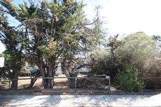 12 Cungena Ave, Park Holme, SA 5043