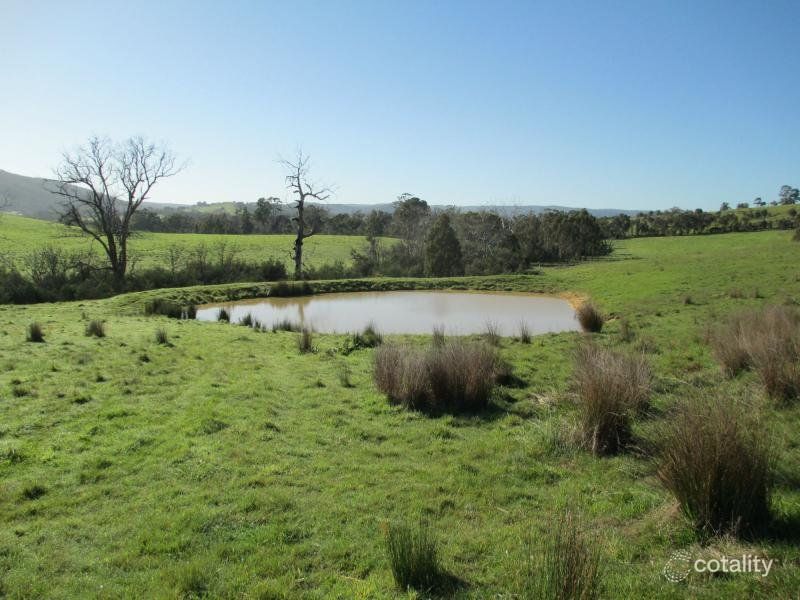 135 Clonbinane Rd, Clonbinane, VIC 3658