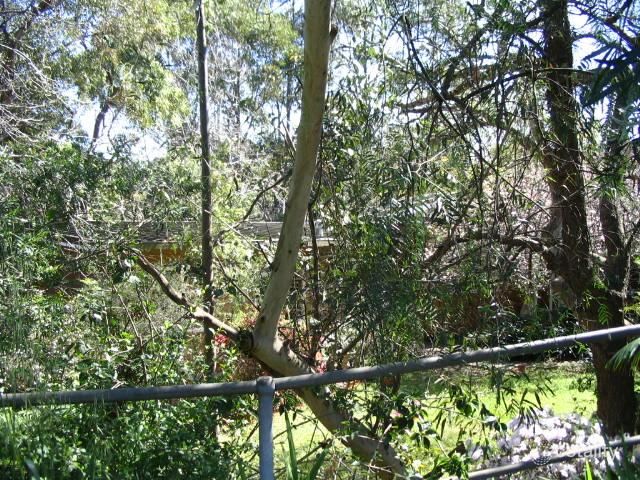 223 Ryde Rd, West Pymble, NSW 2073