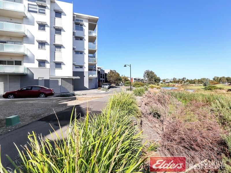 12/21-25 Euston Walk, Mawson Lakes, SA 5095