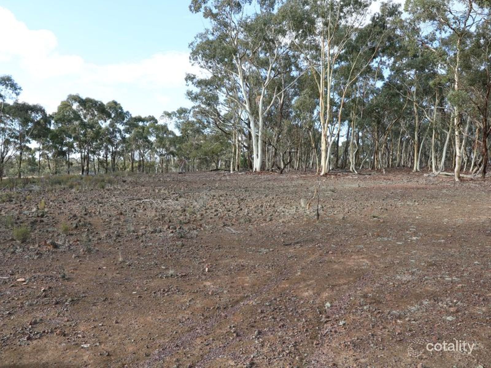 20 Smiths Rd, Bealiba, VIC 3475