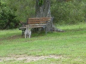 105-107 Sanctuary Dr, Mount Cotton, QLD 4165