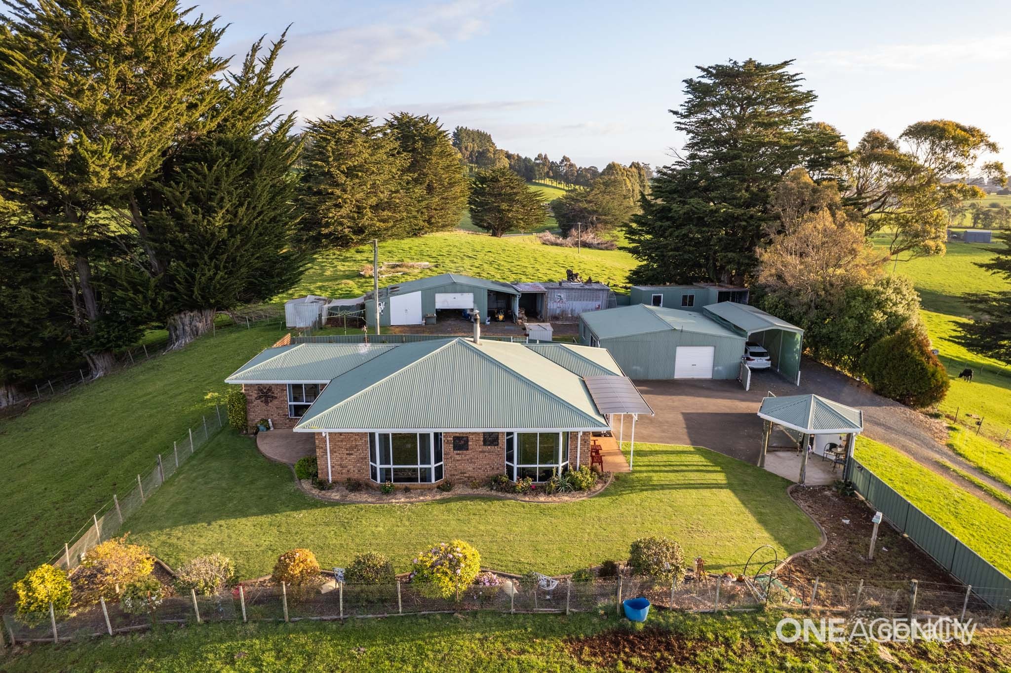 734 Ridgley Hwy, Ridgley, TAS 7321