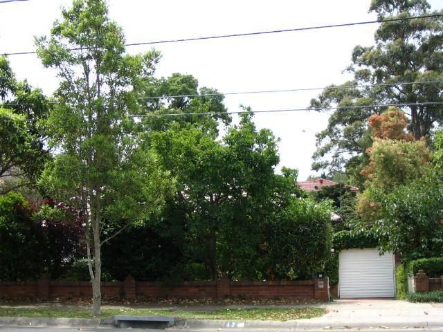 17 Dunlop St, Epping, NSW 2121