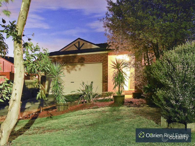 34 Hancock Dr, Berwick, VIC 3806