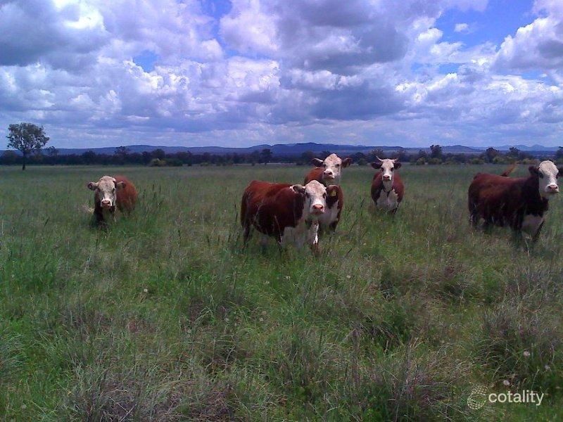 428 Howes Hill Rd, Spring Ridge, NSW 2343