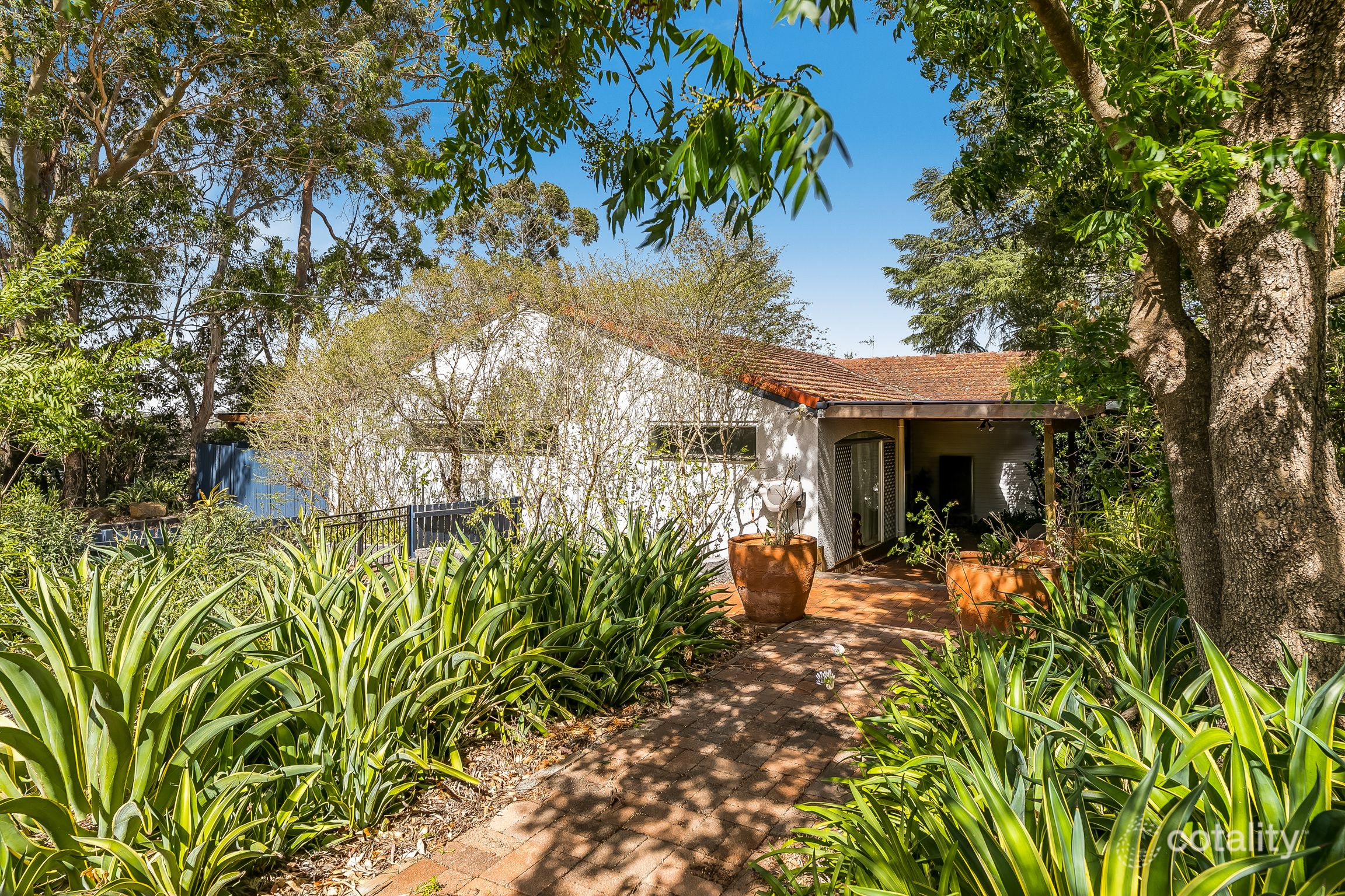 98 Ramsay, Centenary Heights, QLD 4350