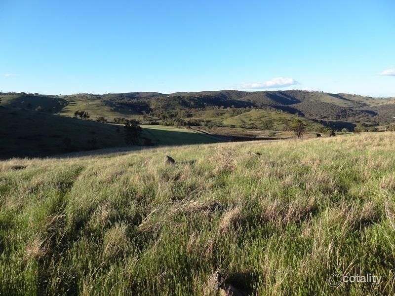 2577 Freemantle Rd, Killongbutta, NSW 2795