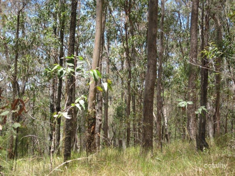 1082 Mud Flat Rd, Drake, NSW 2469