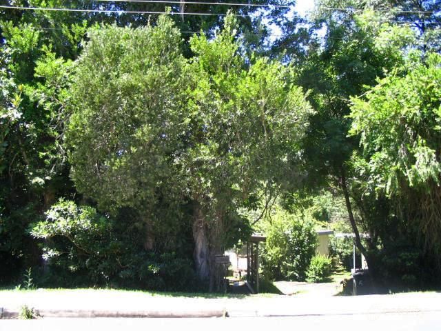 51b Oaklands Rd, Hazelbrook, NSW 2779