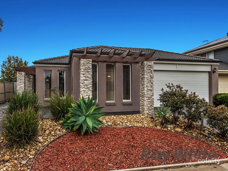 9 Pimelea Tce, St Albans, VIC 3021