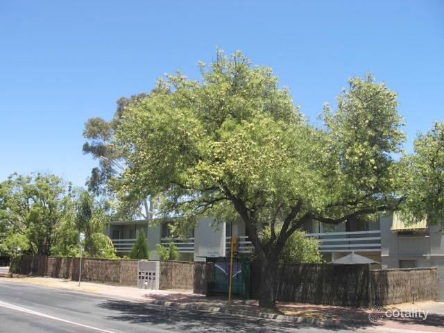 4/53 Stuart Rd, Dulwich, SA 5065