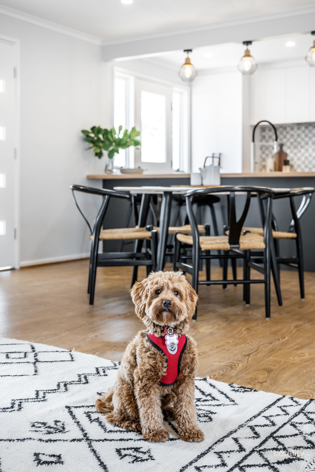 7 Jane Flaxman Ct, West Lakes, SA 5021