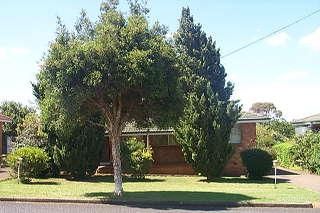 13 Flinders St, Centenary Heights, QLD 4350
