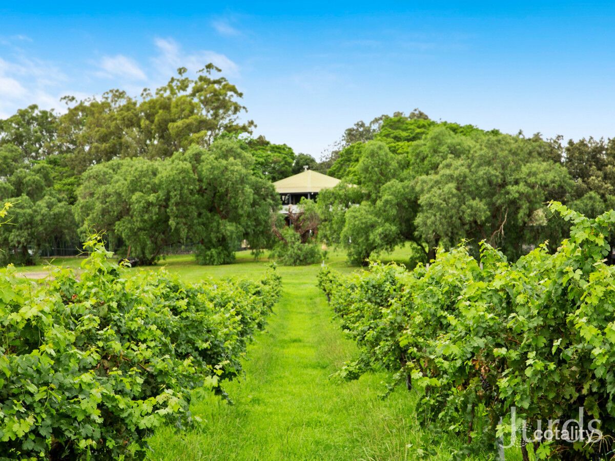 29 Palmers Lane, Pokolbin, NSW 2320