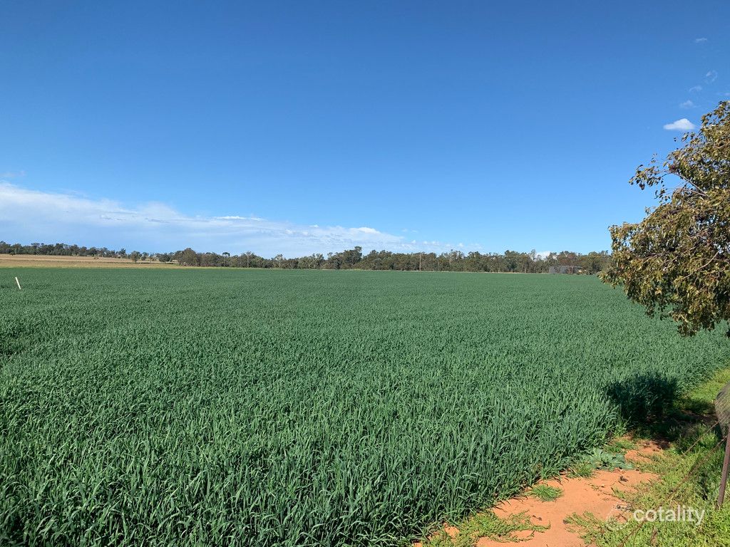 102l Burraway Rd, Terramungamine, NSW 2830