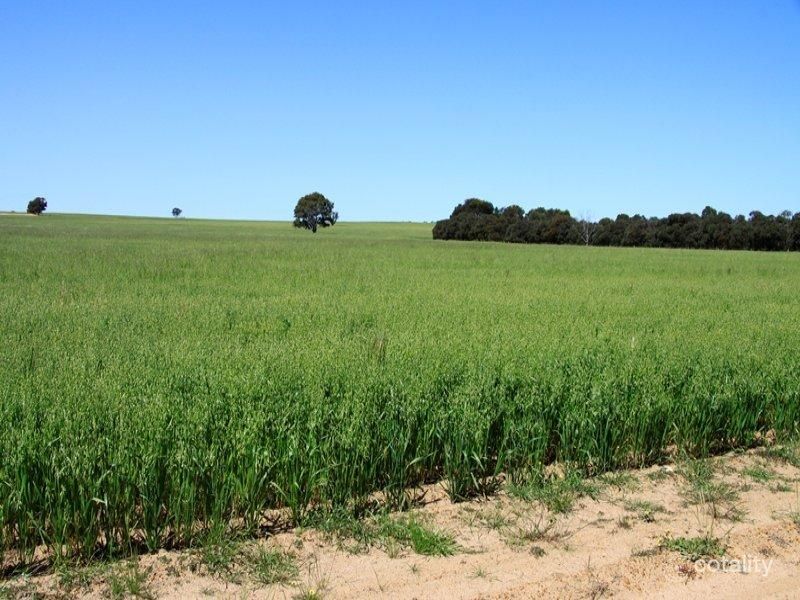 392 Heffernan Rd, Wogolin, WA 6370