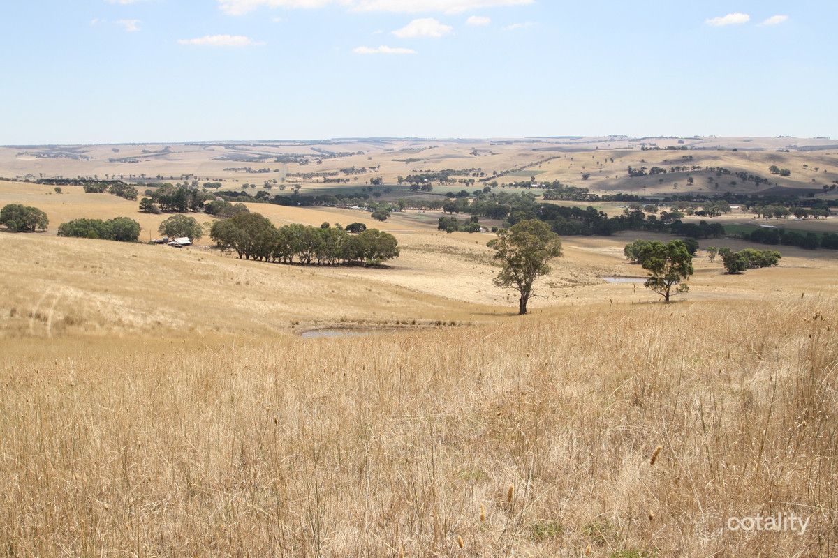 53 Barnes Rd, Coleraine, VIC 3315