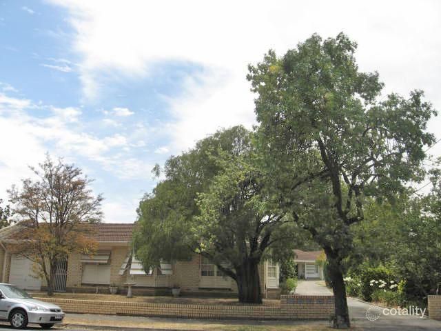 3/22 Tusmore Ave, Leabrook, SA 5068