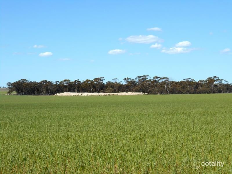 519 Willcocks Rd, South Lake Grace, WA 6353