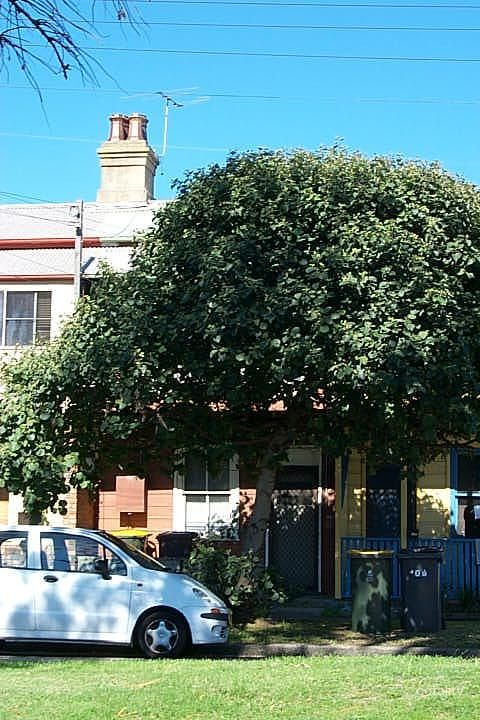 111 Gipps St, Carrington, NSW 2294