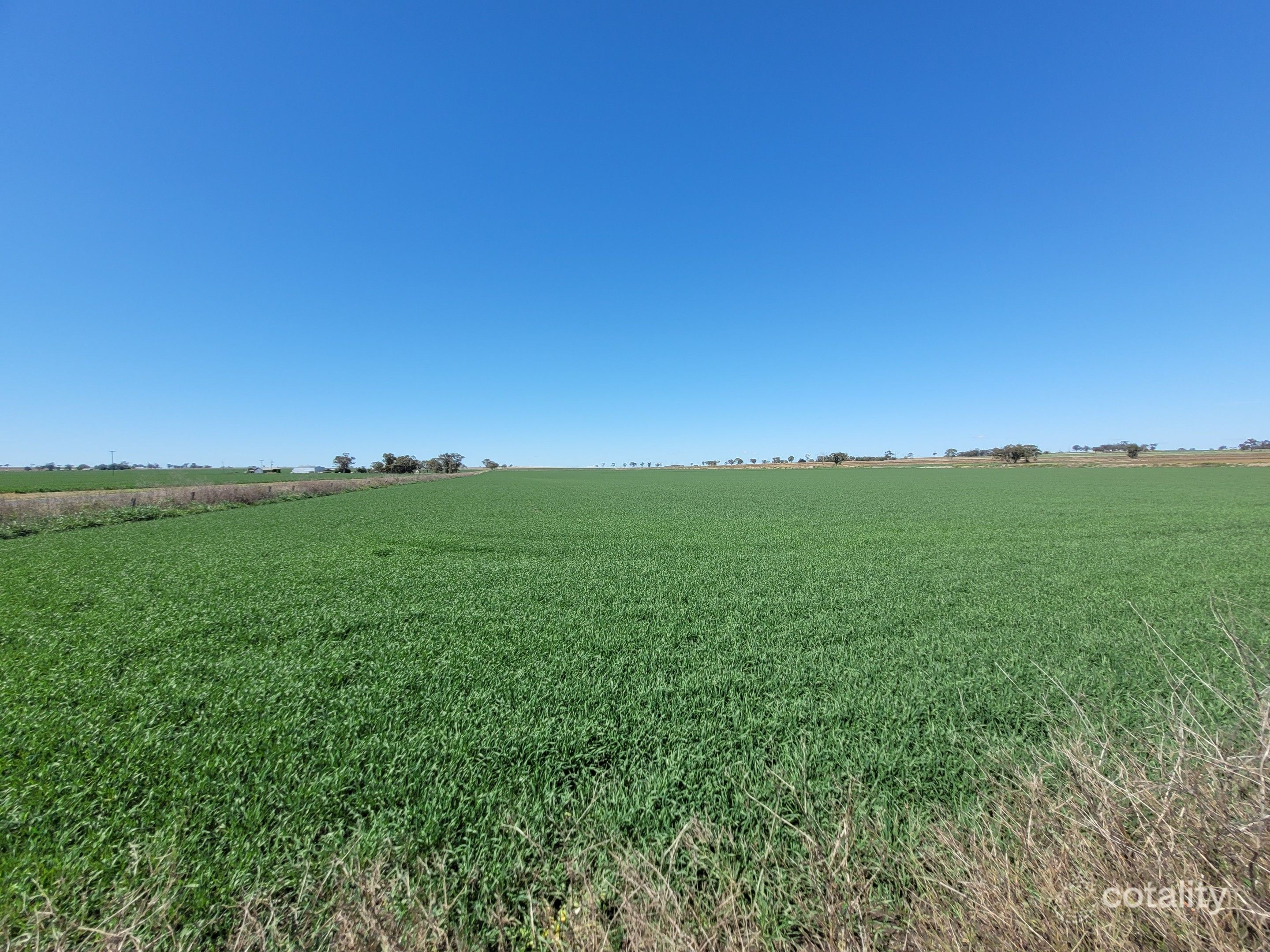 167 Stark Rd, Talgai, QLD 4362