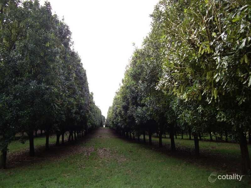 1 Robb St, Alstonville, NSW 2477