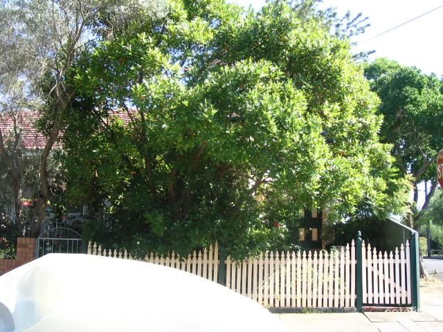 24 Wellesley St, Summer Hill, NSW 2130