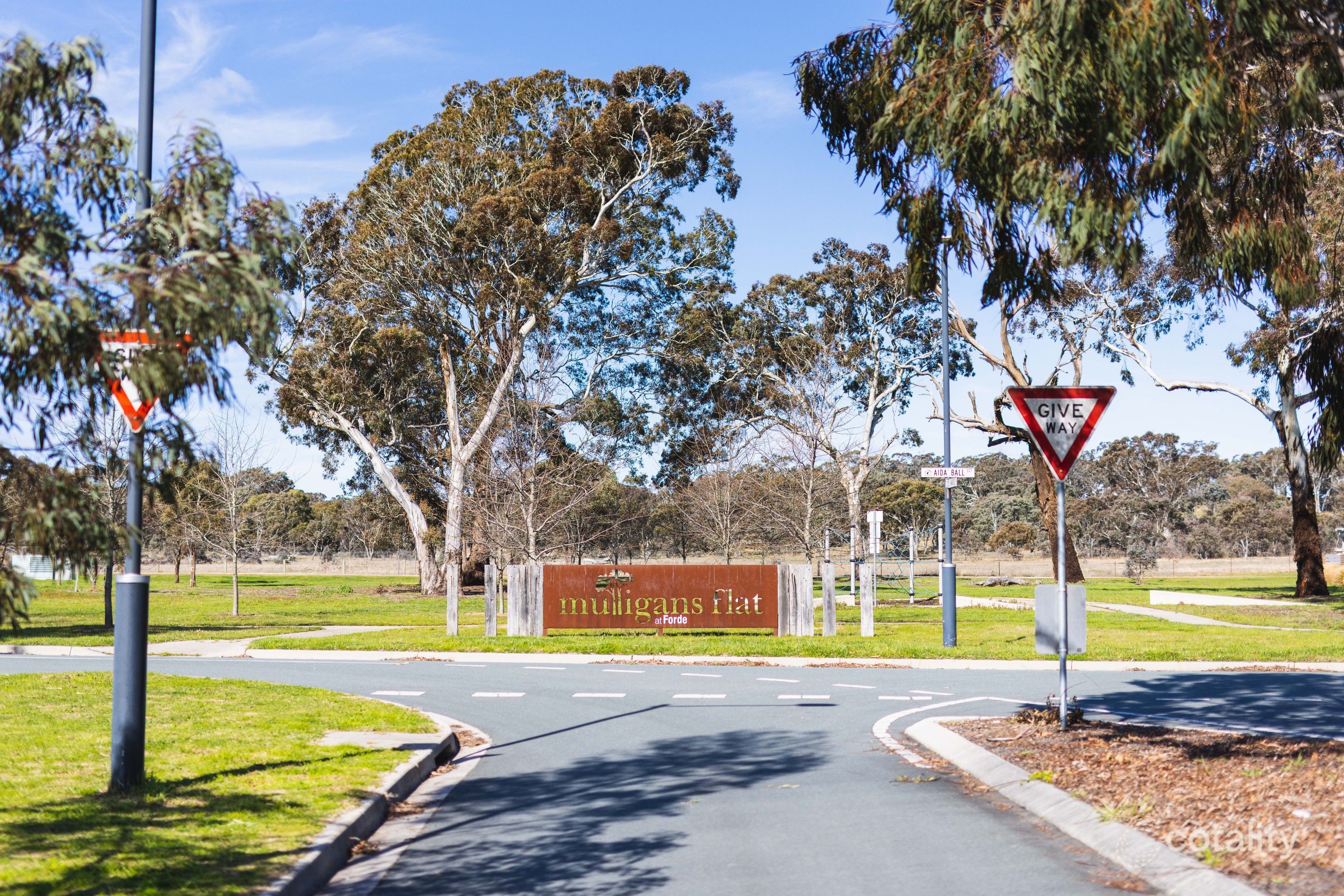 71 Blizzard Cct, Forde, ACT 2914