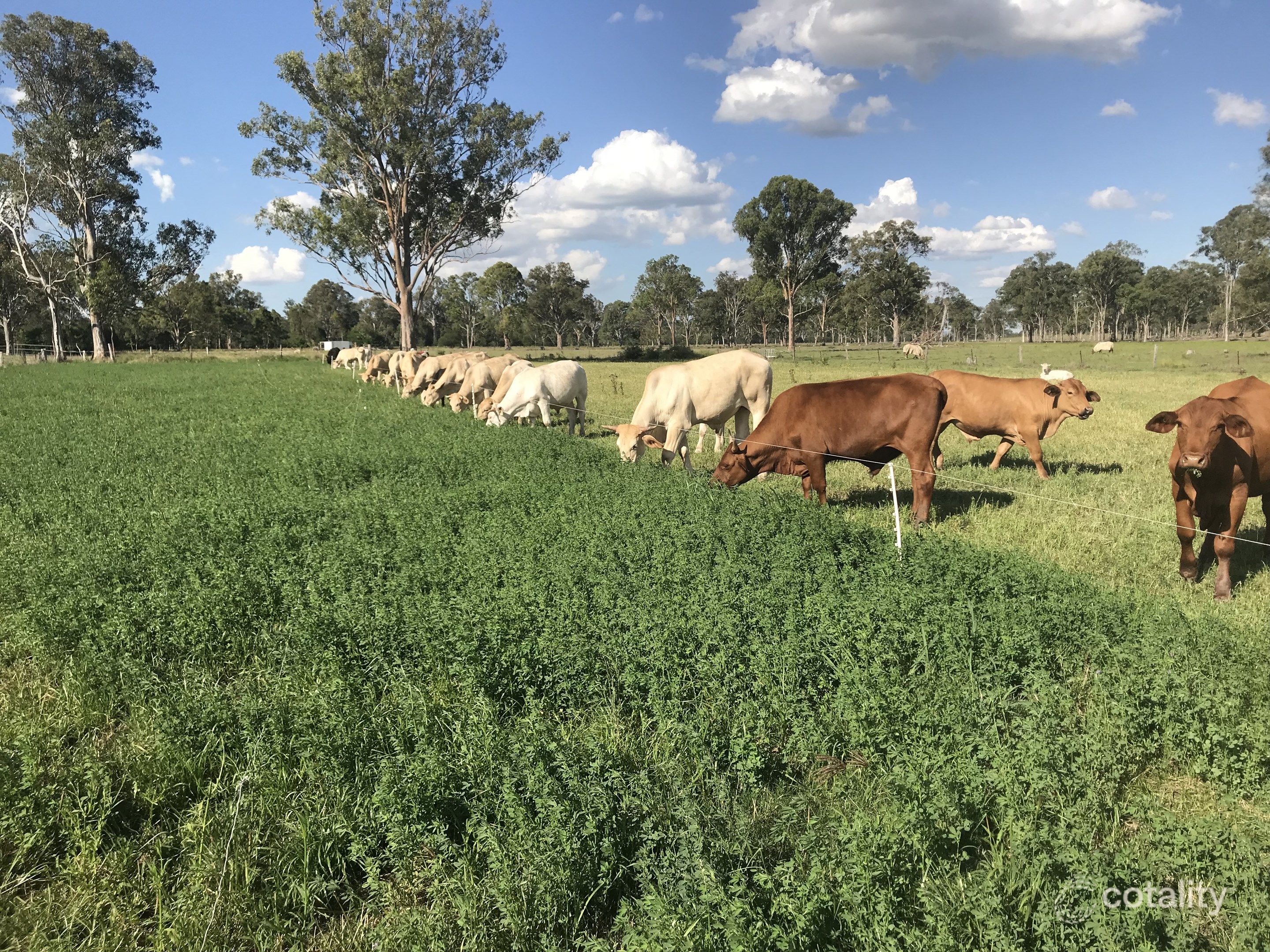 63-129 Bexleigh Lane, Calvert, QLD 4340