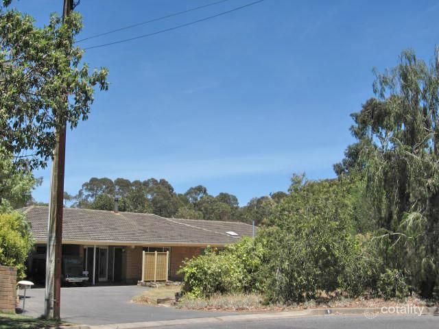 1 Zeehan St, Banksia Park, SA 5091